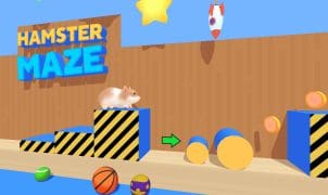 Hamster Maze Online
