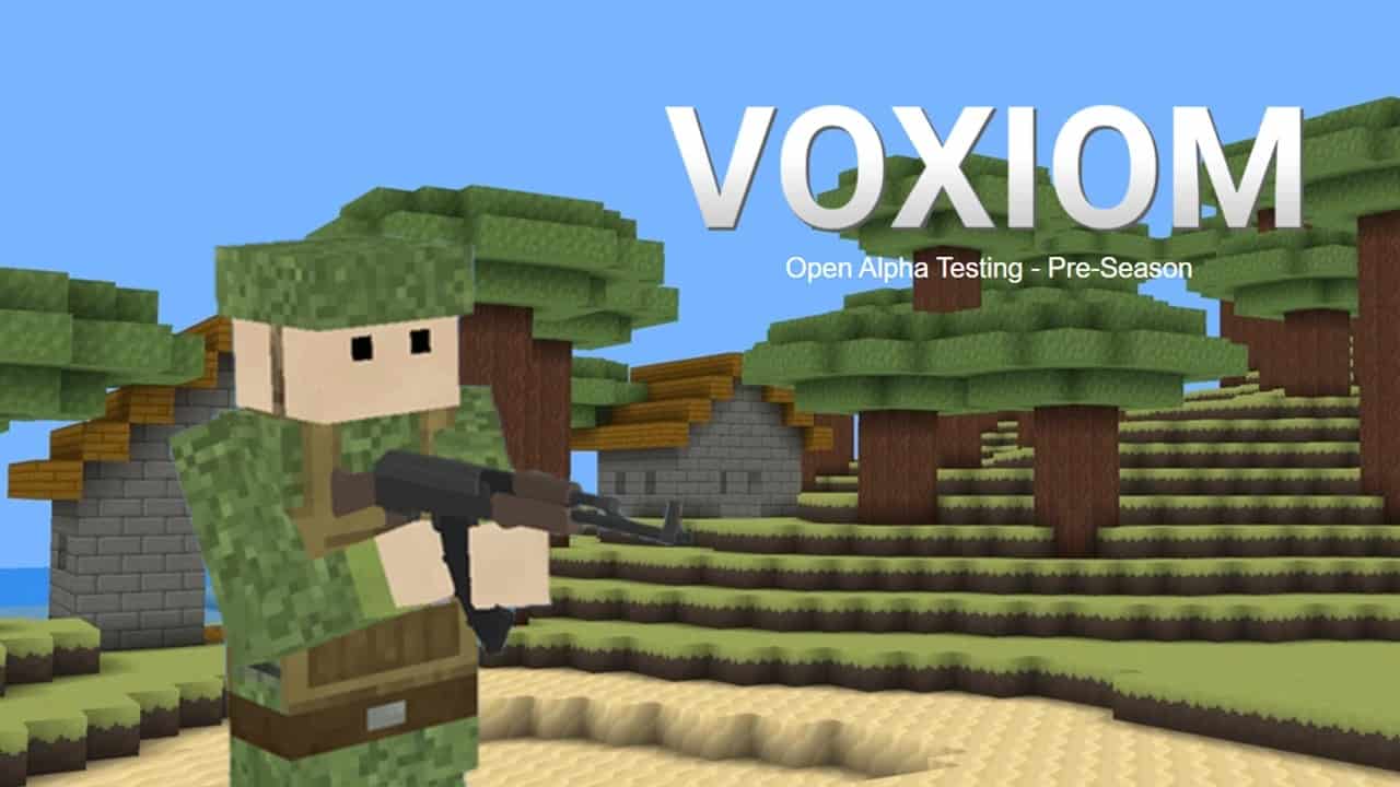 Voxiom IO